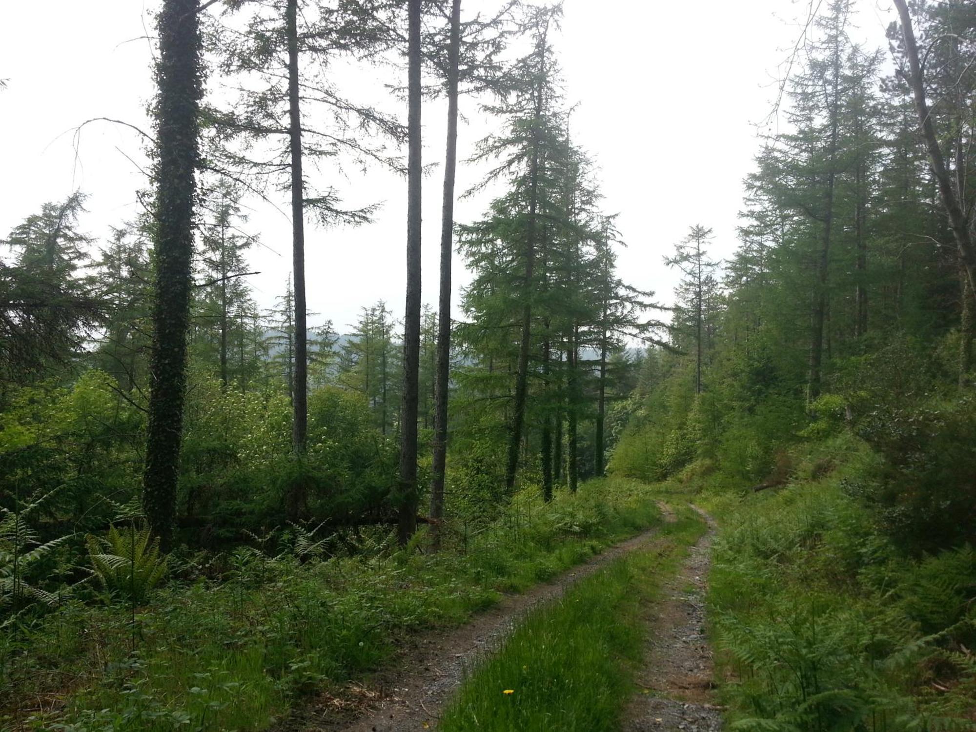 Ty Capel Isa Villa Blaenau Ffestiniog Kültér fotó